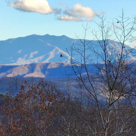 Lazy Bear Cabin Sevierville Luaran gambar