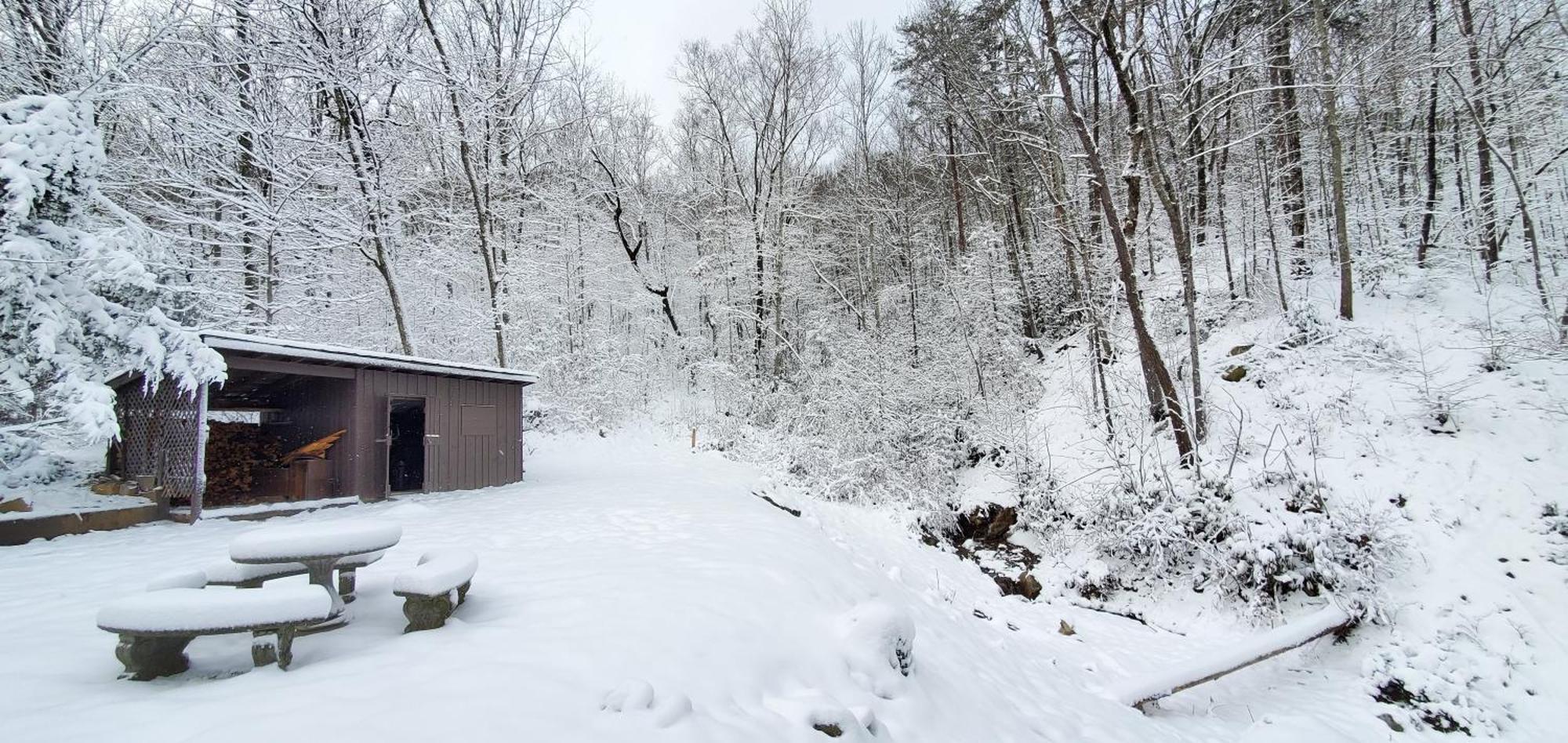 Lazy Bear Cabin Sevierville Luaran gambar