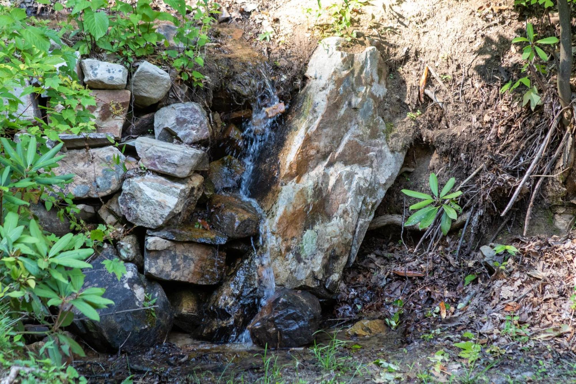 Lazy Bear Cabin Sevierville Luaran gambar